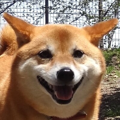 kichitada's profile picture