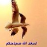 khaled alomar's profile picture