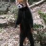 某 profil fotoğrafı
