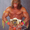 Daniel Wilson's profile picture