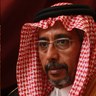 Mohammad Al Ghanmi's profile picture