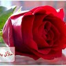 مربية أجيال profil fotoğrafı