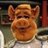 Daniel's profile picture