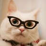 Seeley's profile picture