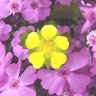 Фото профиля 7k1ptt