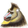 Profilbild von daisuke_oozaru
