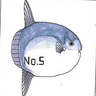 赤しま's profile picture