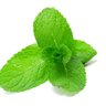 نعناع أفندي profil fotoğrafı