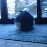 namename's profile picture