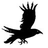 dark_crow's profile picture