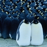 たくや profil fotoğrafı