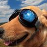 Profilbild von cardmerl