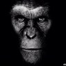 wtf!'s profile picture