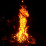 Laffing_Gor's profile picture