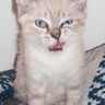 うなちゃん profil fotoğrafı