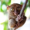 Фото профиля Christophe Moreau