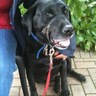RIP Max ❤❤'s profile picture