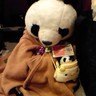 Profilbild von いりべひさこ