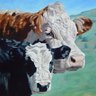 Profilbild von Cattle Dog