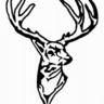 Mystah Bambi profil fotoğrafı