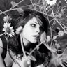 Fern Perez's profile picture
