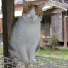 バトルマガジン profil fotoğrafı