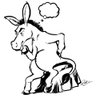 Donkeyologist profil fotoğrafı