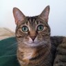 Mushka80's profile picture