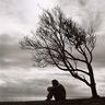 Havre de Solitude profil fotoğrafı