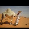 مليح المعارك 的头像