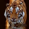 John's profile picture