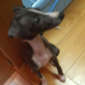 J先生 的头像