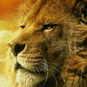 Juan Ca Prieto's profile picture
