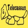 Profilbild von TelecasSun