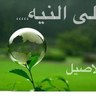 abuali 的头像