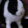 Profilbild von もじゃのおかん
