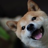 Profilbild von 瀬名 悠