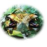 D.A.P.I.E.R's profile picture