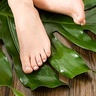 phillyareafeet profil fotoğrafı