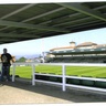 sestao river's profile picture
