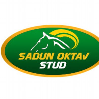 sadunoktavstud's profile picture