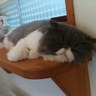 nono profil fotoğrafı
