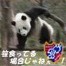 Profilbild von ダニーロ
