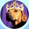 Profilbild von ASTcell 🇨🇦🏴󠁧󠁢󠁳󠁣󠁴󠁿🇺🇸