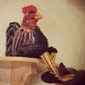 Gallo del Gallinero profil fotoğrafı