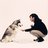 Liona's profile picture