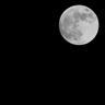 antoniuttiphotograph's profile picture