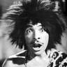 Antonio Dominguez's profile picture