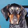 Barney...'s profile picture