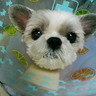 さゆたん's profile picture